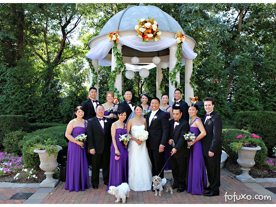 Cachorros no casamento