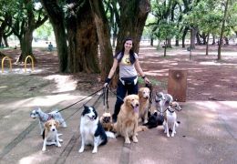 Passeadores de cães