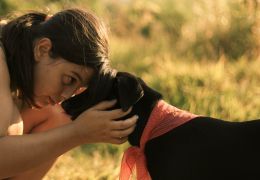 Dicas para saber quando o cachorro está envenenado