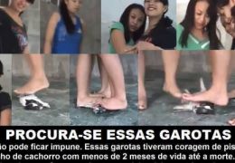 Mais um viral de vídeo com agressões à cachorro toma conta da internet