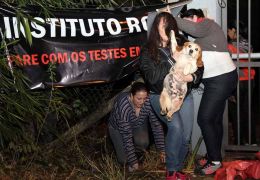 Ativistas resgatam animais de instituto acusado de maus tratos