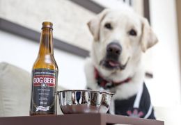 Empresas apostam no lançamentos de bebidas para pets