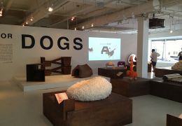 Arquitetos fazem exposição com casas diferentes para cachorros