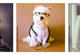 West Highland Terrier vira sucesso nas redes sociais