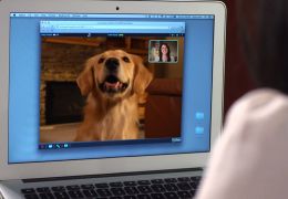 Novo sistema facilita comunicação entre donos e cães à distância