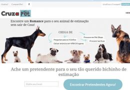 Pets ganham rede social específica para relacionamento