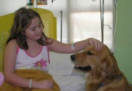 Aumenta o uso da Cãoterapia para crianças