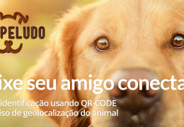 Brasileiros investem em solução para monitoramento de animais