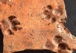 Encontradas pegadas de cães de 2 mil anos atrás