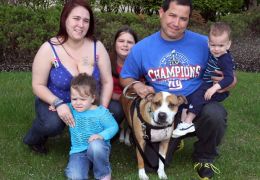 Família consegue reencontrar cachorro perdido depois de 2 anos