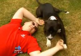 Cachorro salva vida do dono ligando para 911