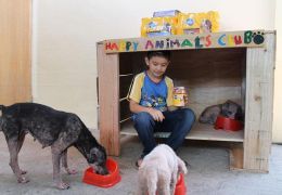 Menino de 8 anos das Filipinas cria abrigo para cachorros abandonados