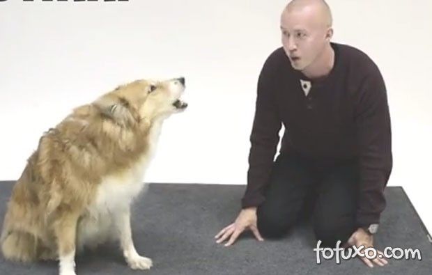 Confira a reação hilária dos cachorros ao ouvirem humanos latindo