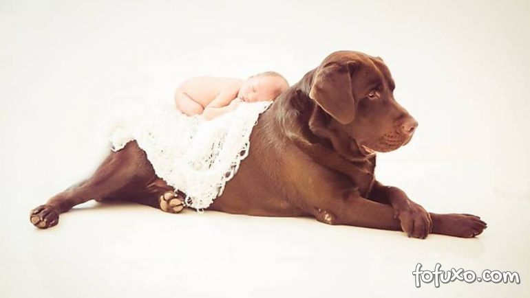 Fotógrafa cria ensaios com bebês e cães