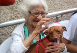 Cães e gatos estão vivendo por mais tempo