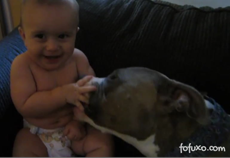 Bebê ganha banho de língua de cão e cai na gargalhada
