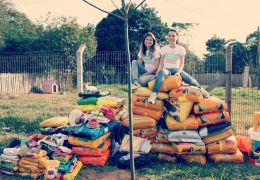 Jovem cria projeto de arrecadação de comida para pets abandonados no RS