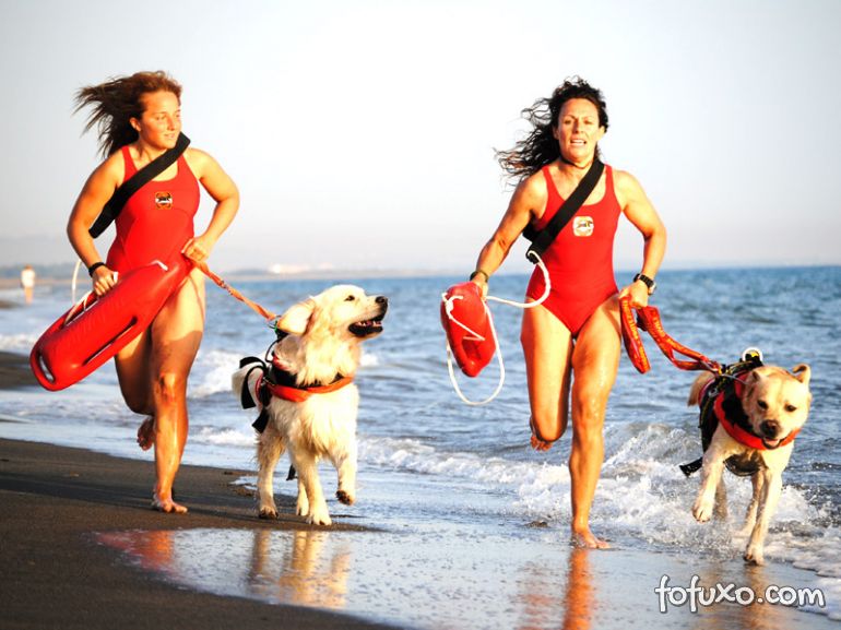 Praias italianas ganham cães salva-vidas