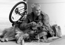 Fotos mostram amor de moradores de rua por seus cães