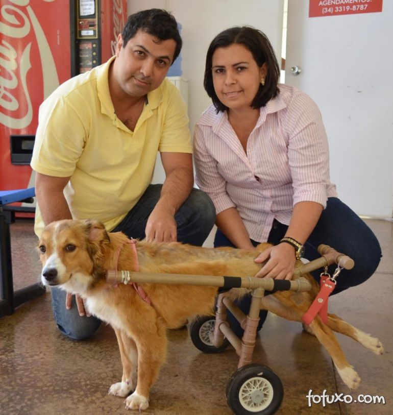 Casal de Minas Gerais cria modelo diferente de cadeira de rodas para cães