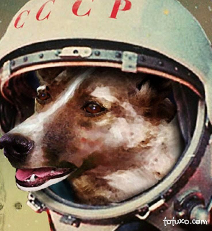 Traje espacial para cães da década de 50 será leiloado