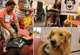 Conheça o projeto que treina e doa cães para cadeirantes