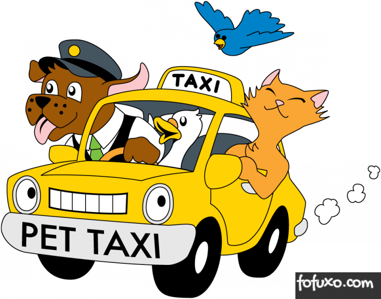 Serviços de táxi para pets ganham espaço nas grandes cidades