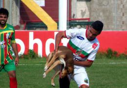 Jogador é mordido durante partida de futebol e diz que “cão deu sorte”