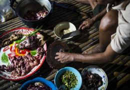 Consumo de carne canina na Tailândia pode ser proibido