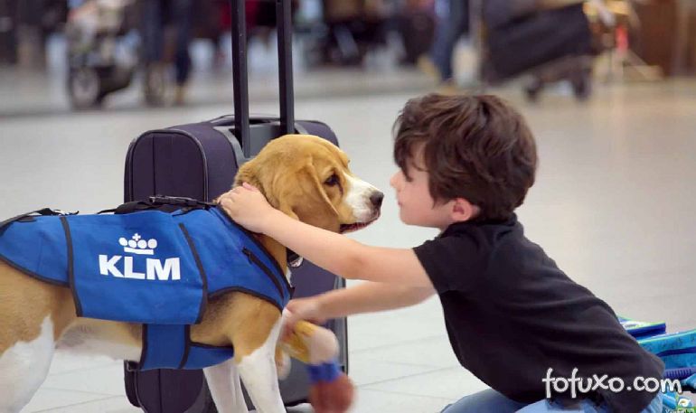 Companhia aérea cria campanha com cachorro que entrega objetos perdidos