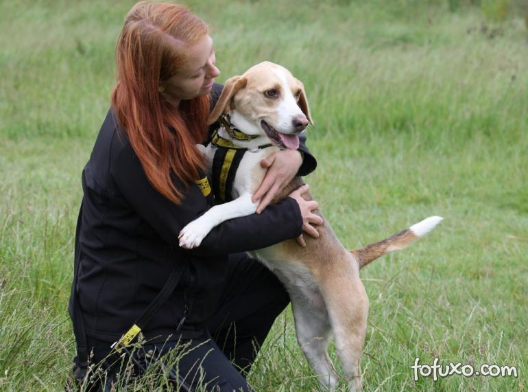 Cachorra auxilia dona durante ataques epiléticos