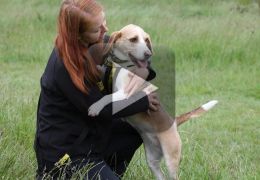 Cachorra auxilia dona durante ataques epiléticos