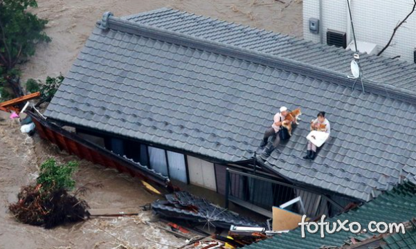 Casal japonês salva cães durante enchente