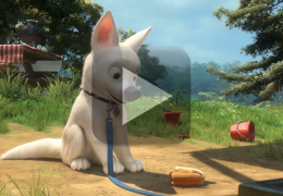 Cachorro fica maluco ao assistir filme do Bolt