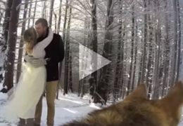 Casal coloca GoPro em cão e pet registra casamento