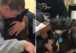 Vídeo mostra reencontro emocionante de mulher com seu cachorro perdido