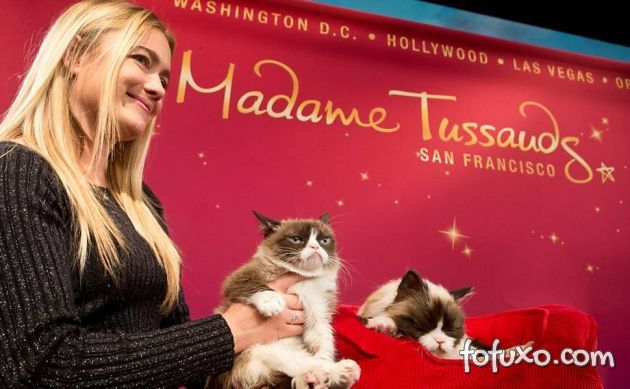 Gato mal-humorado ganha estátua no Madame Tussauds