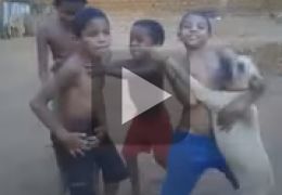 Cachorro dança forró com crianças