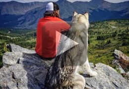 Norte-americano cria vídeo incrível em viagens com o seu cão