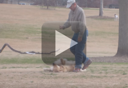 Cachorro se finge de morto e não quer ir embora do parque