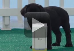 LG e Verizon promove Unboxing com cães