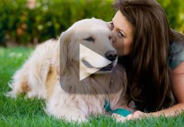 Estudo afirma que os corações do cão e do seu dono batem em sincronia
