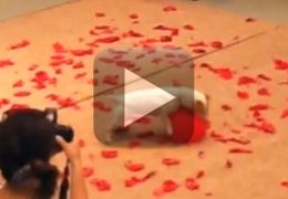 Cachorro bate recorde de estouro de balões