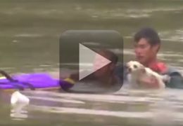 Homem resgata mulher e cachorro