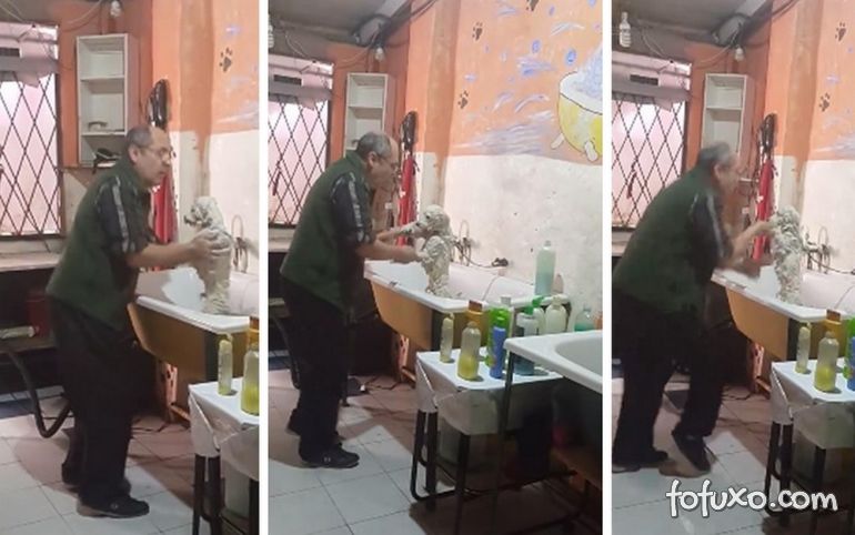 Dono de pet shop viraliza dançando com cão durante banho