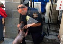 Vídeo mostra reação de cão quando encontra com seu salvador