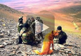 Exército argentino tem cachorro com posto de sargento