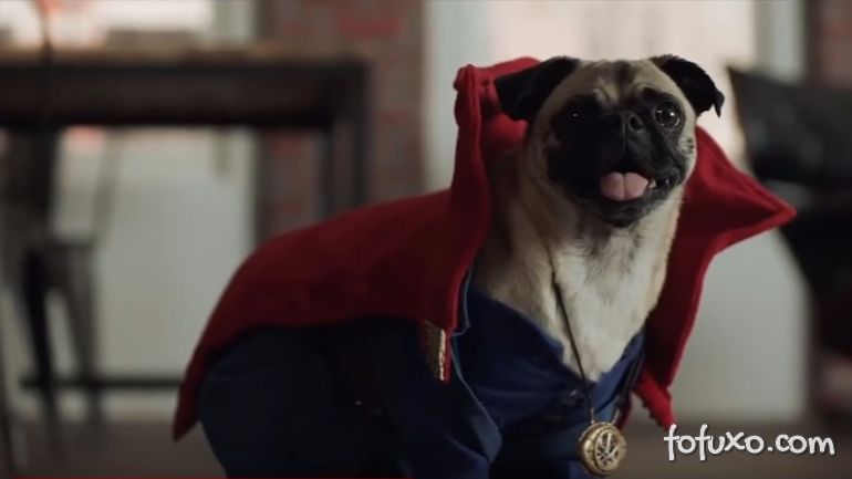 Vídeos transforma cachorros em heróis da Marvel