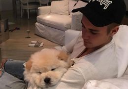 Justin Bieber abandona cachorro doente