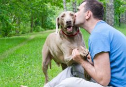 Confira 5 estudos que comprovam que cães fazem bem para saúde